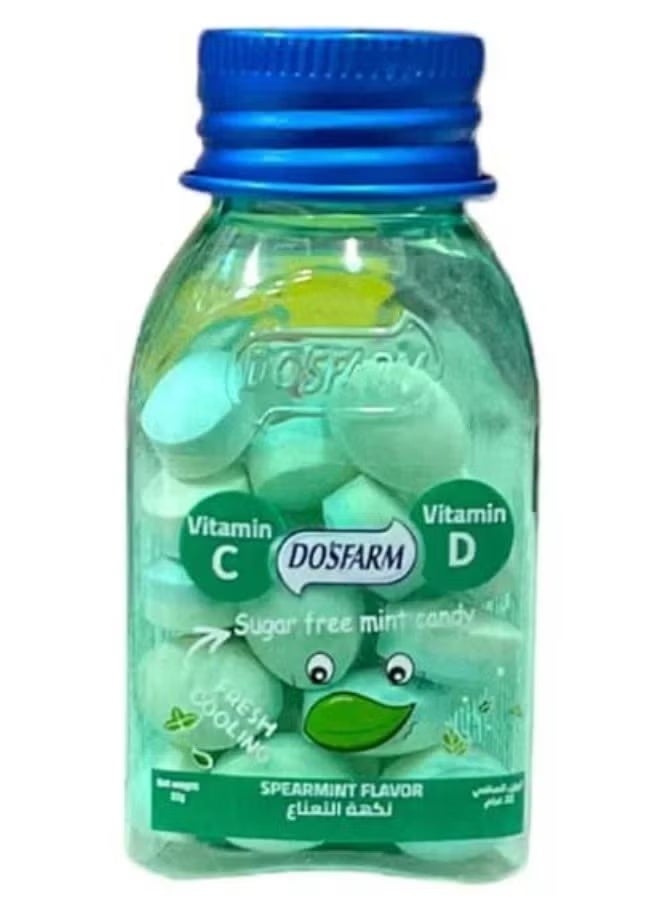 Vitamin C & D Sugar Free Mint Candy Spearmint Flavor 22 g
